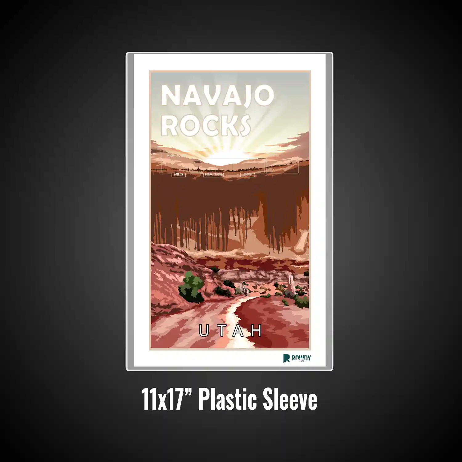 Plastic Frame (61)