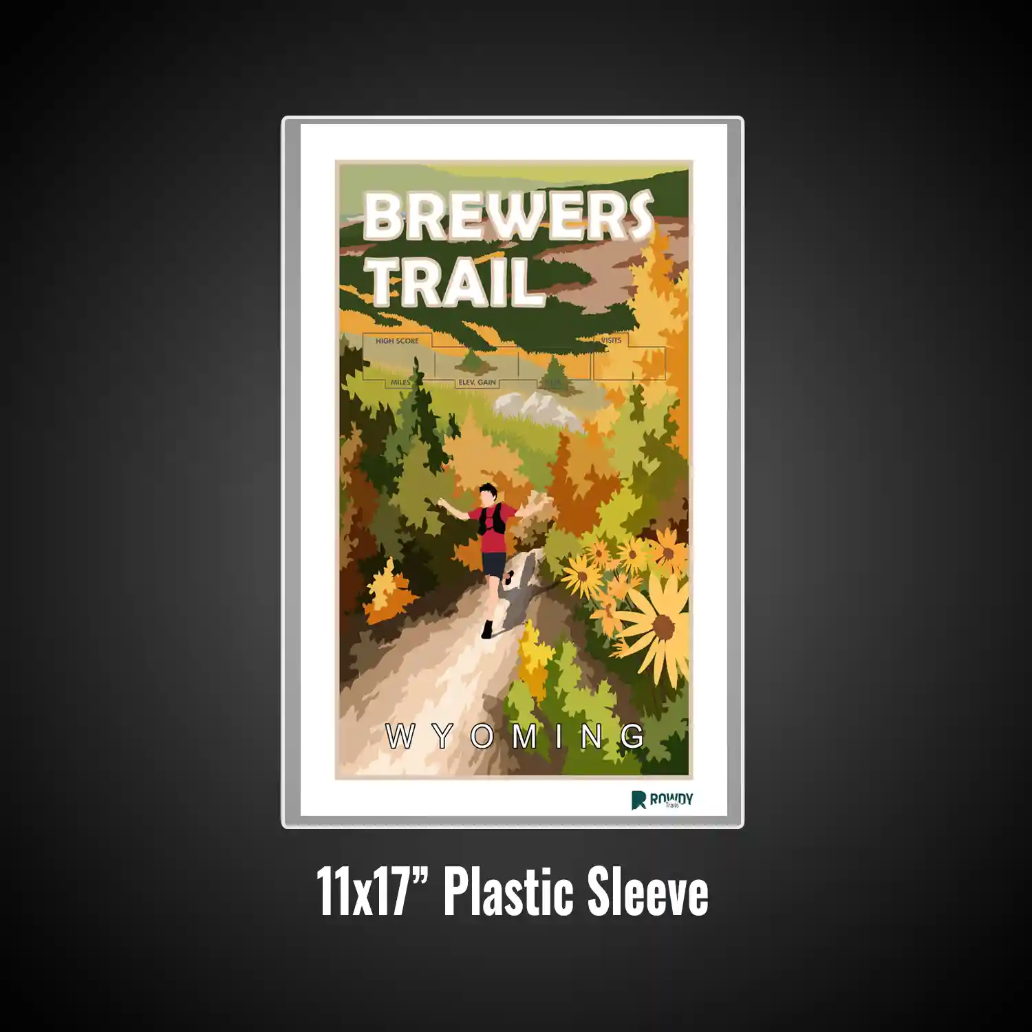 Plastic Frame (13)