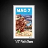 Plastic Frame (51)