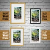 Wood Frame (81)